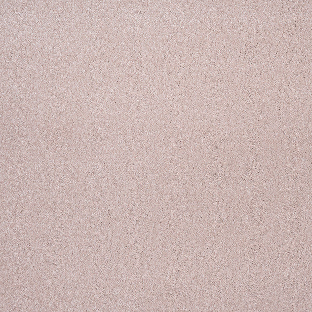 Carnation 38 Sirius 70oz Invictus Carpet Clearance 1.81m x 5m Remnant