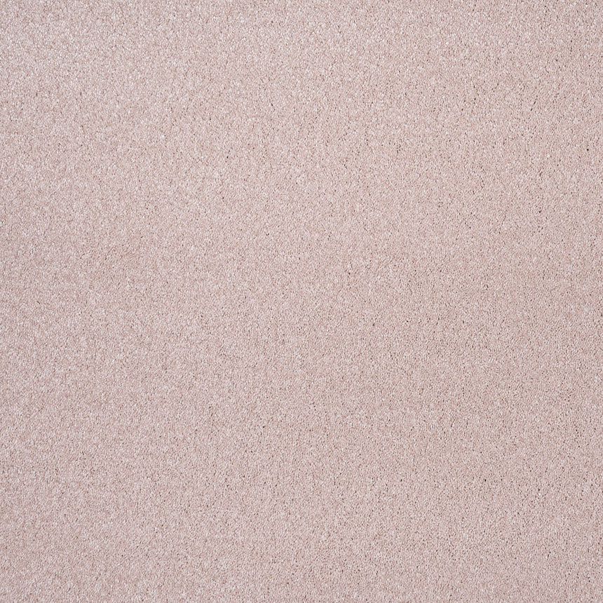 Carnation 38 Sirius 70oz Invictus Carpet Clearance 1.81m x 5m Remnant