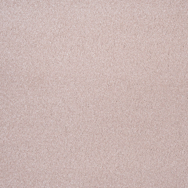 Carnation 38 Sirius 70oz Invictus Carpet Clearance 2.6m x 5m Remnant