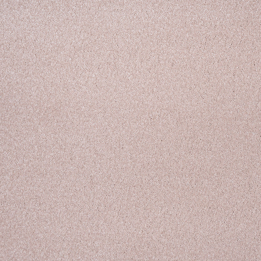Carnation 38 Sirius 70oz Invictus Carpet Clearance 2.6m x 5m Remnant