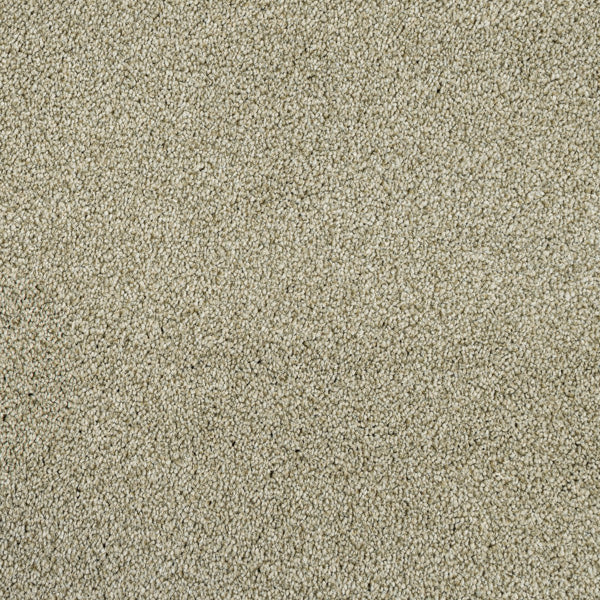 Fern 20 Cassius 70oz Invictus Carpet 4.4m x 5m Remnant