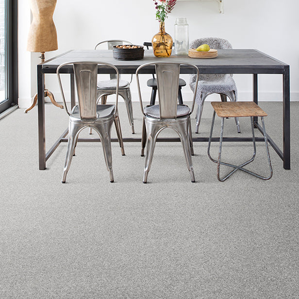 Silver Thaw 93 Cassius 70oz Invictus Carpet
