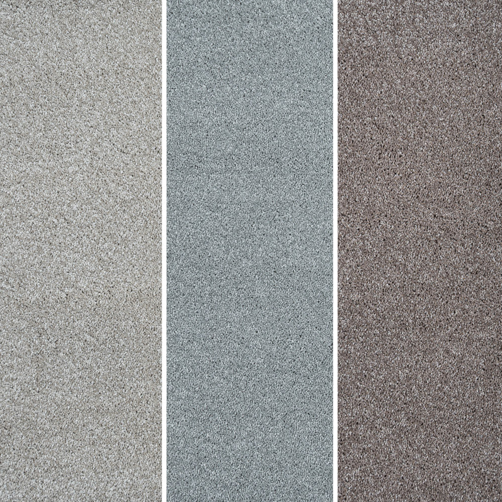 Centaurus Invictus Carpet