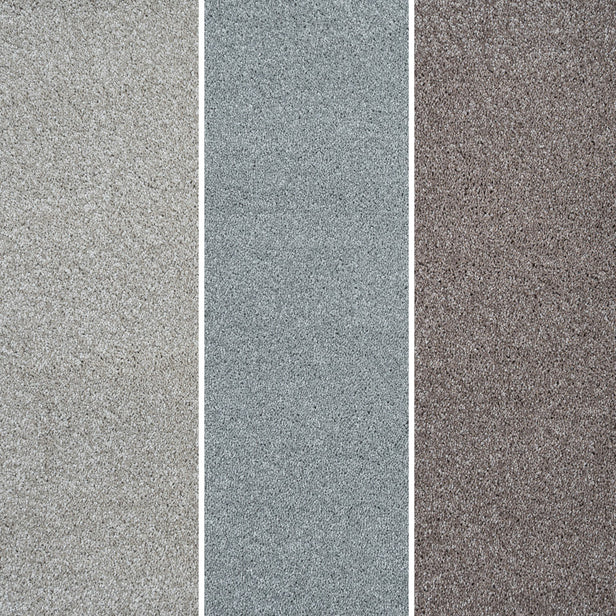 Centaurus Invictus Carpet