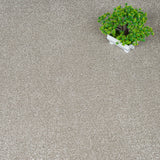 Chalk Beige 39 Centaurus Invictus Carpet