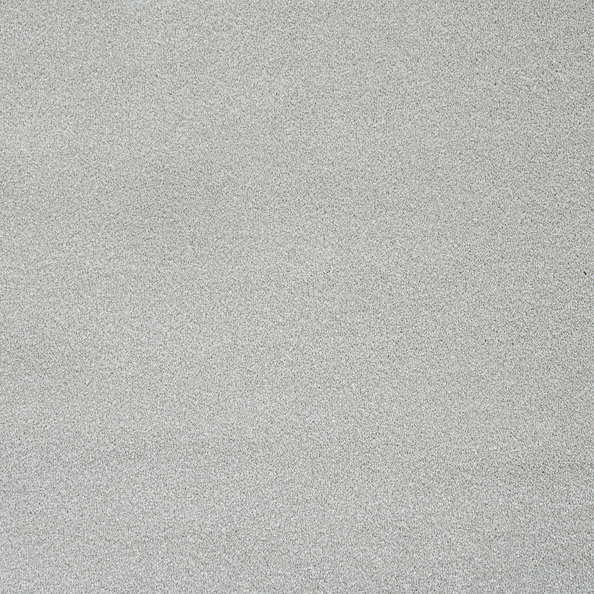 Champagne Stainfree Caress Carpet by Abingdon