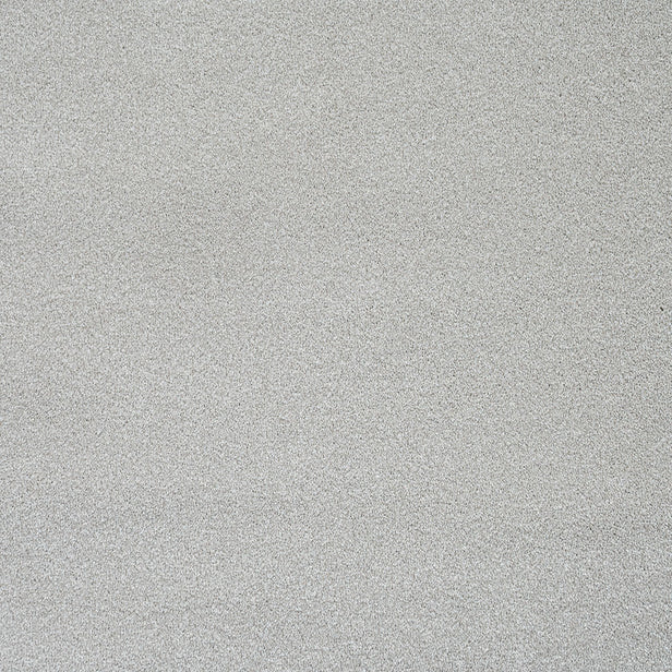Champagne Stainfree Caress Carpet by Abingdon