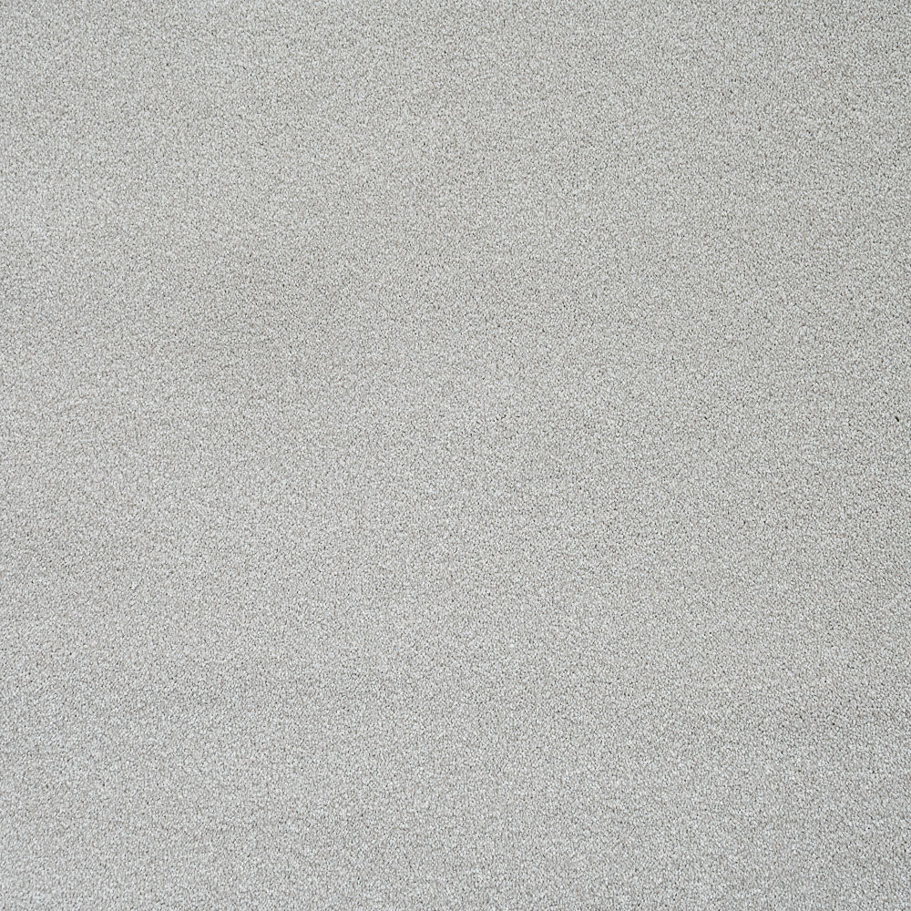 Platinum Stainfree Caress Carpet | Abingdon Carpets | Online Carpets