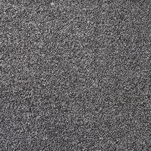 Coast Twist Carpet Clearance