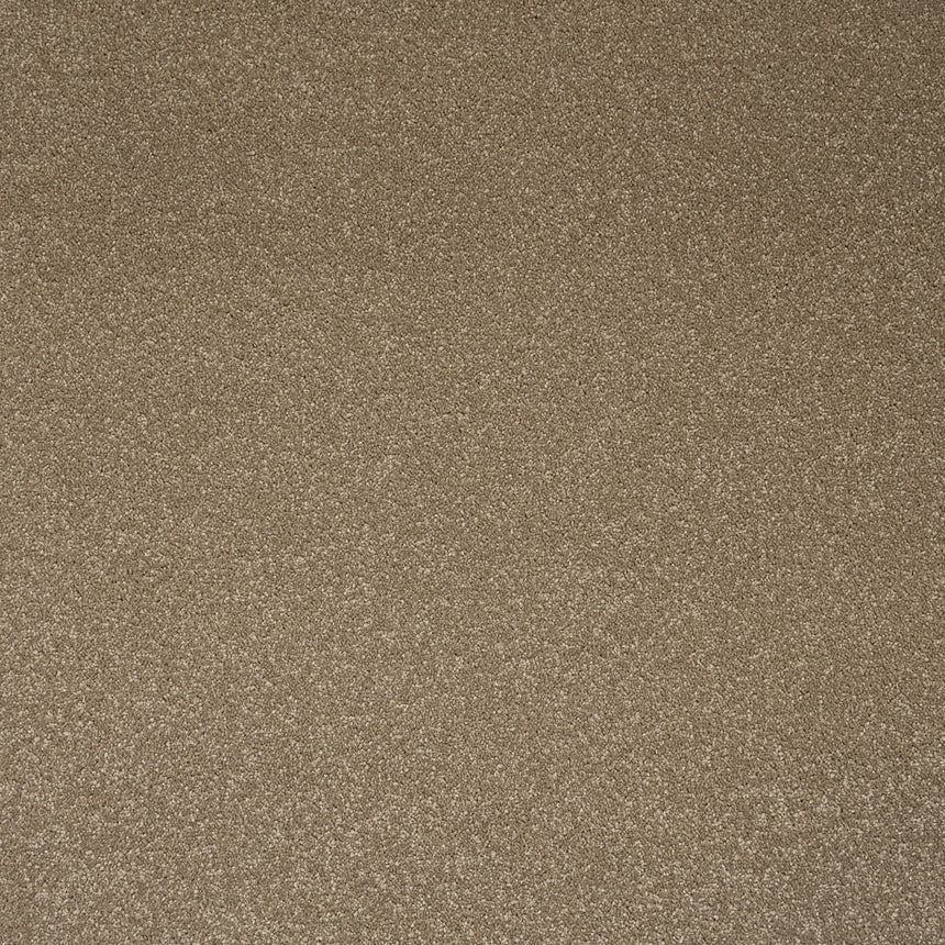 Chenille Primo Plus Carpet by Cormar