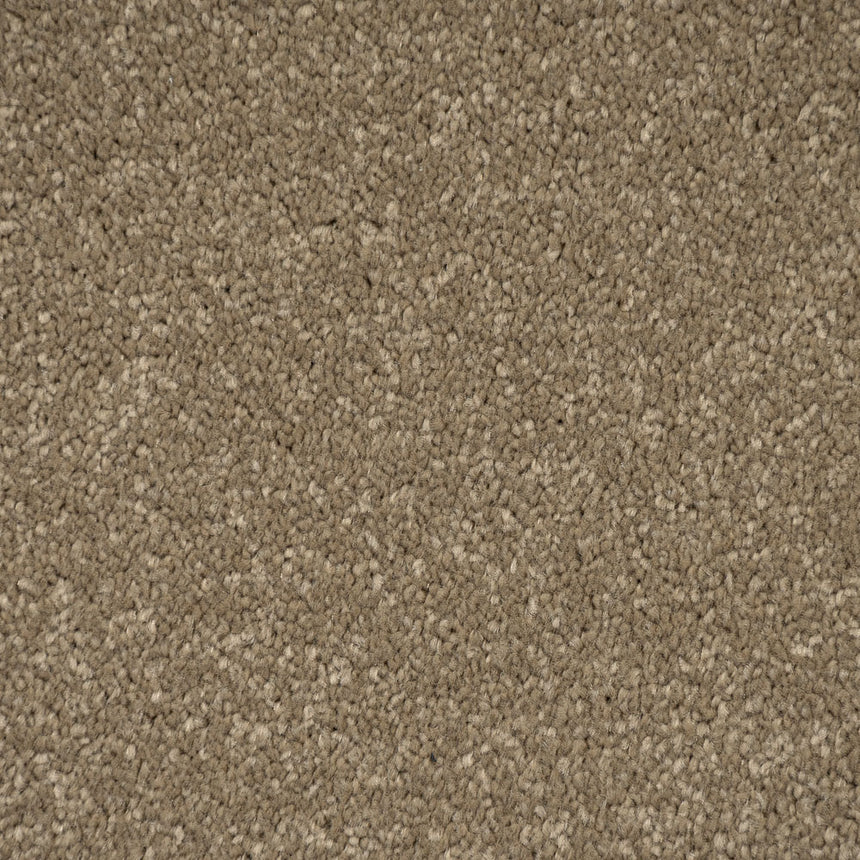 Chenille Primo Plus Carpet by Cormar