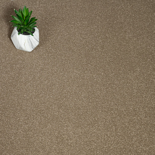 Chenille Primo Plus Carpet by Cormar