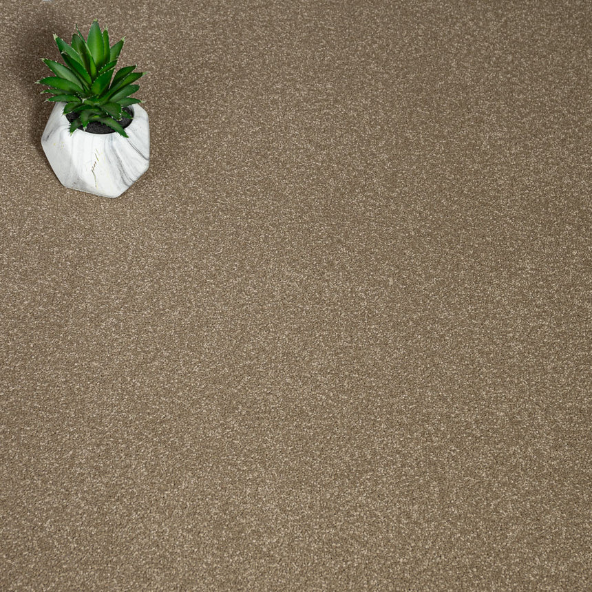 Chenille Primo Plus Carpet by Cormar