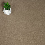 Chenille Primo Plus Carpet by Cormar