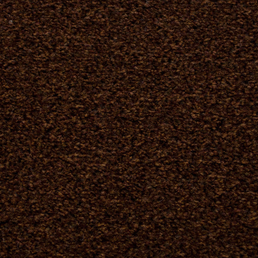 Chestnut 992 Dublin Heather Twist Actionback Carpet Clearance