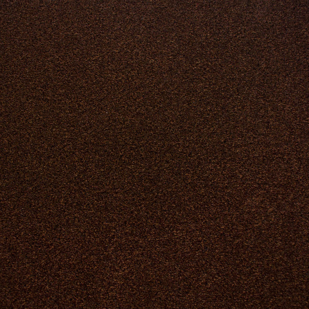 Chestnut 992 Dublin Heather Twist Actionback Carpet Clearance