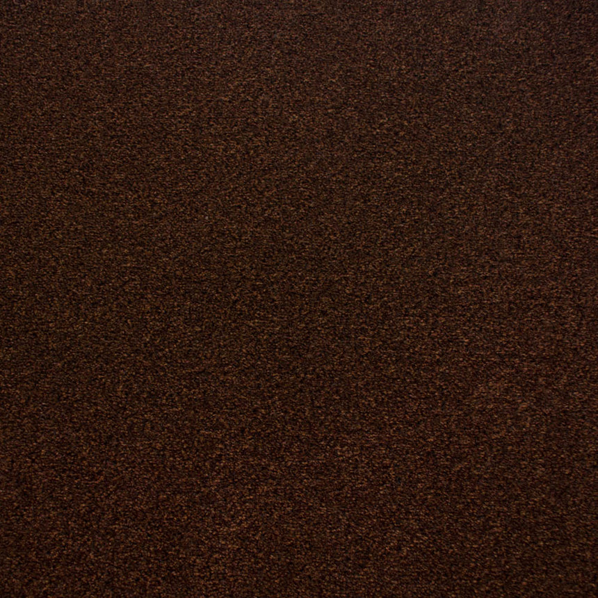 Chestnut 992 Dublin Heather Twist Actionback Carpet Clearance