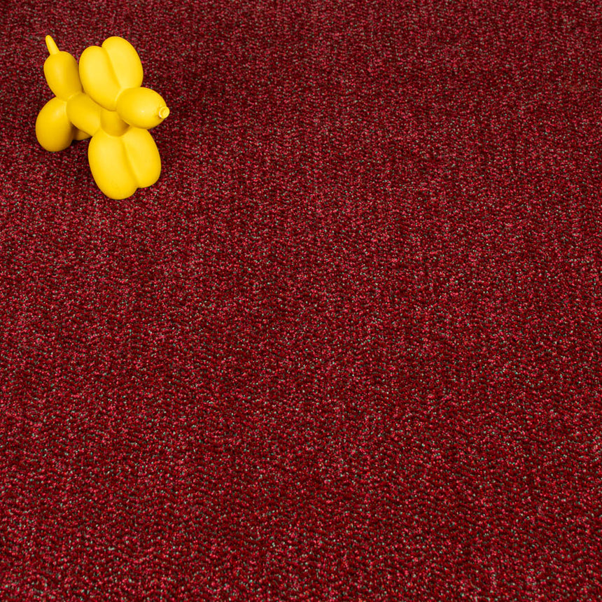 Chianti 18 Stainfree Tweed Carpet by Abingdon