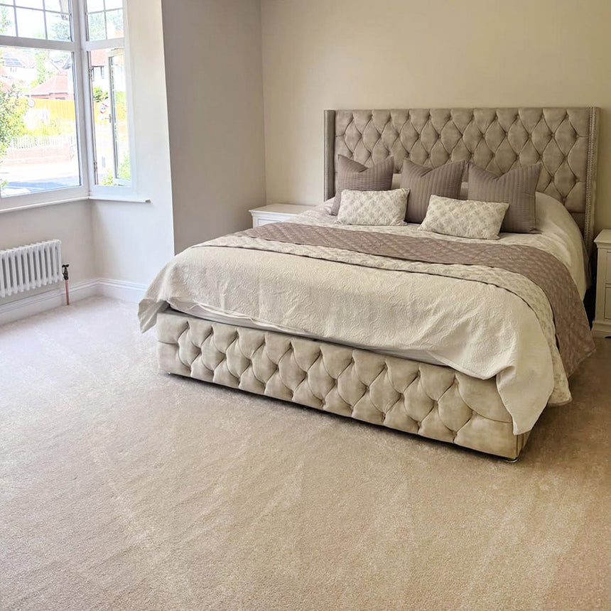 Chiffon Vision Luxury Saxony Actionback Carpet