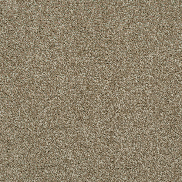 Chiffon 91 Revolution Soft Heathers Intenza Carpet 5.12m x 5m Remnant