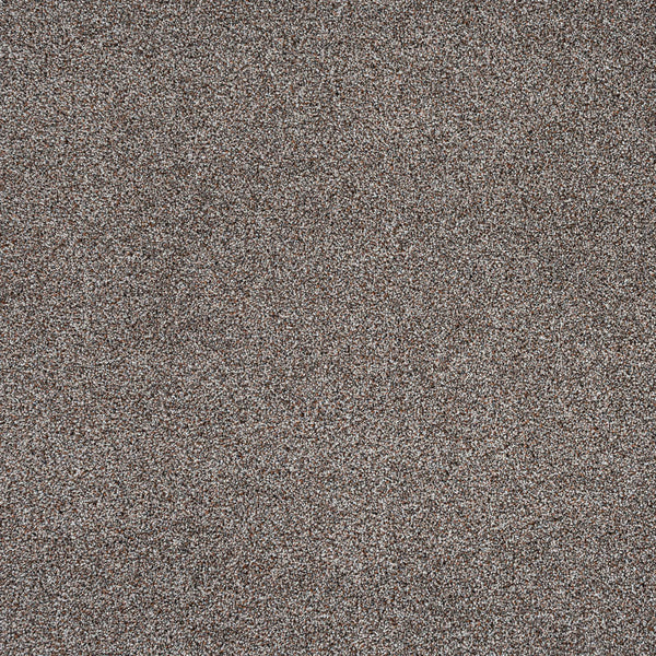 Stainfree Rustique Saxony Carpet | Abingdon Flooring | Online Carpets