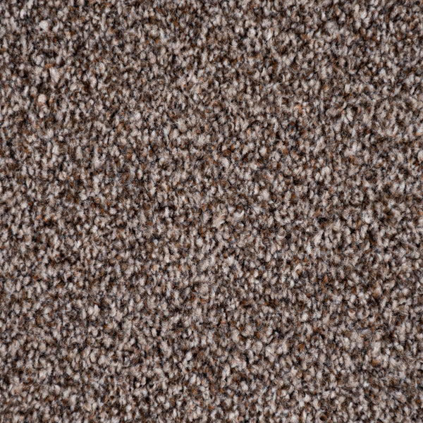 Chocolate Brown Versailles Twist Carpet