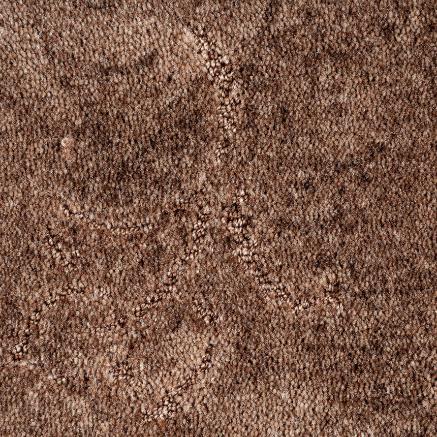 Chocolate 40 California Dreams Carpet