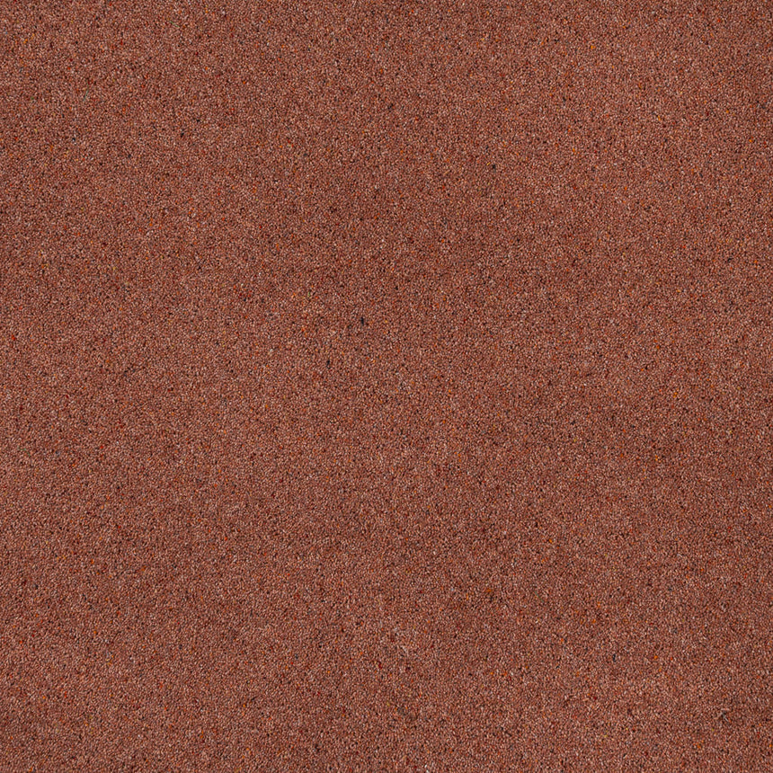 Wilton Royal Charter Berber Deluxe Carpet by Abingdon