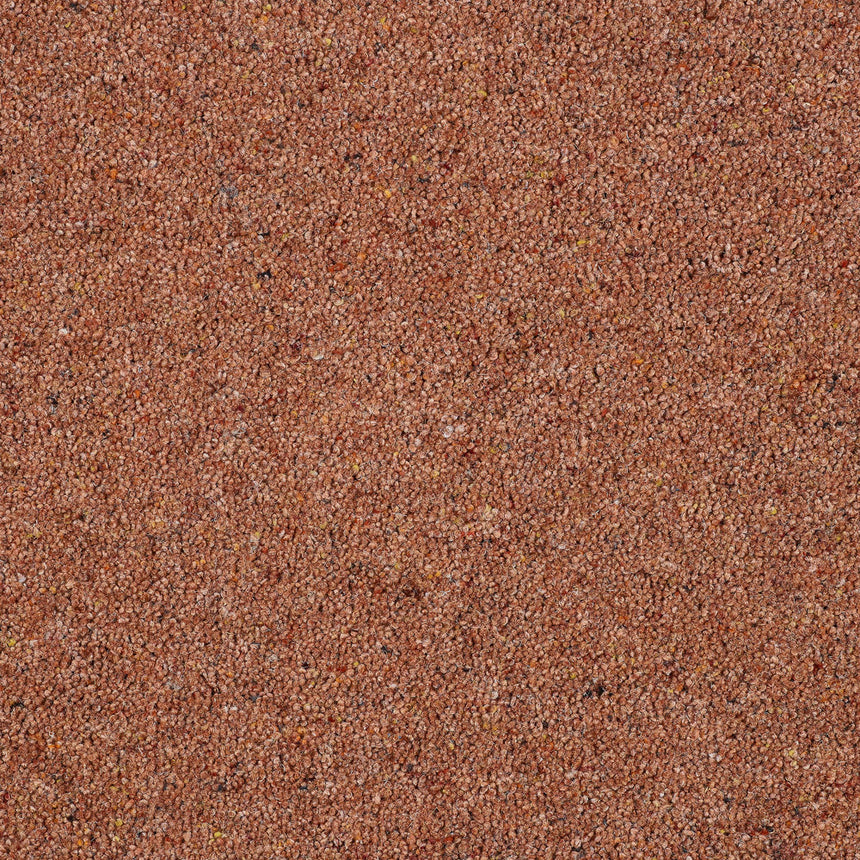 Royal Windsor Charter Berber Deluxe Carpet by Abingdon