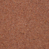 Royal Windsor Charter Berber Deluxe Carpet by Abingdon