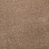 Cinnamon Wild Silk Love Story Carpet by Abingdon