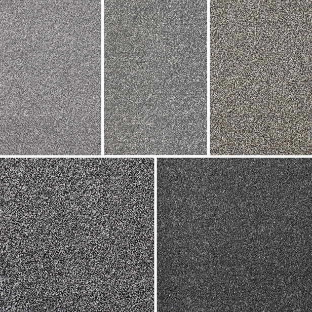 Coast Twist Carpet Clearance