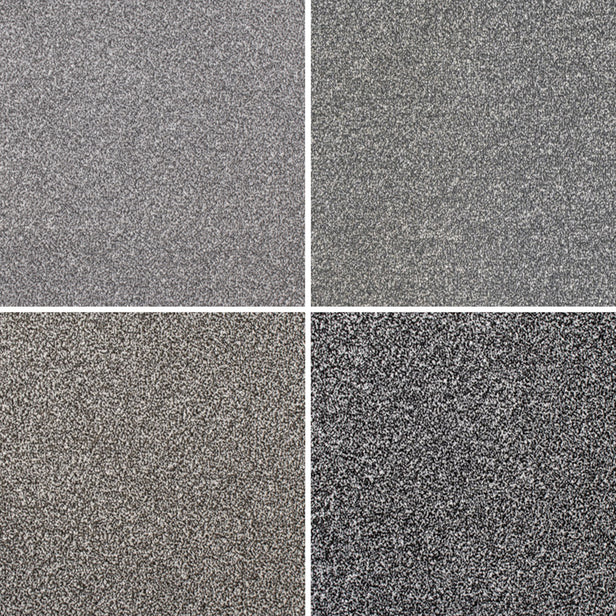 Coast Twist Carpet Clearance