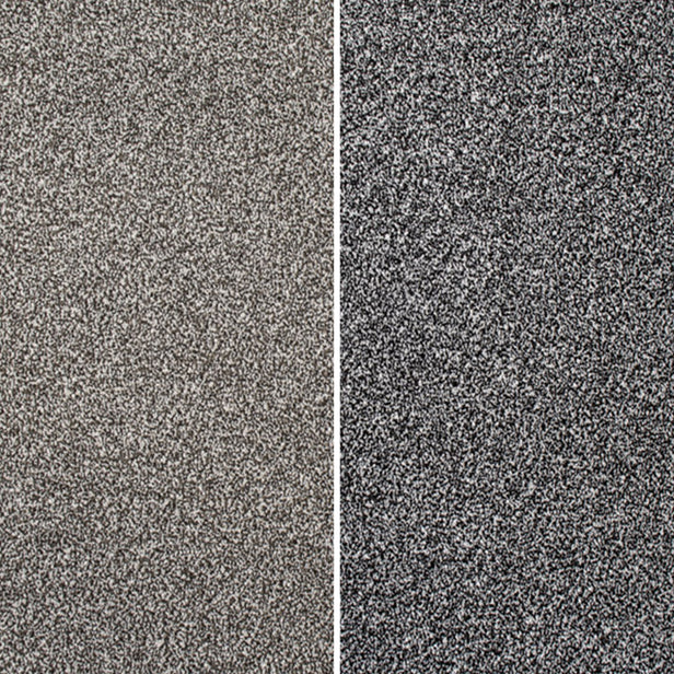 Coast Twist Carpet Clearance