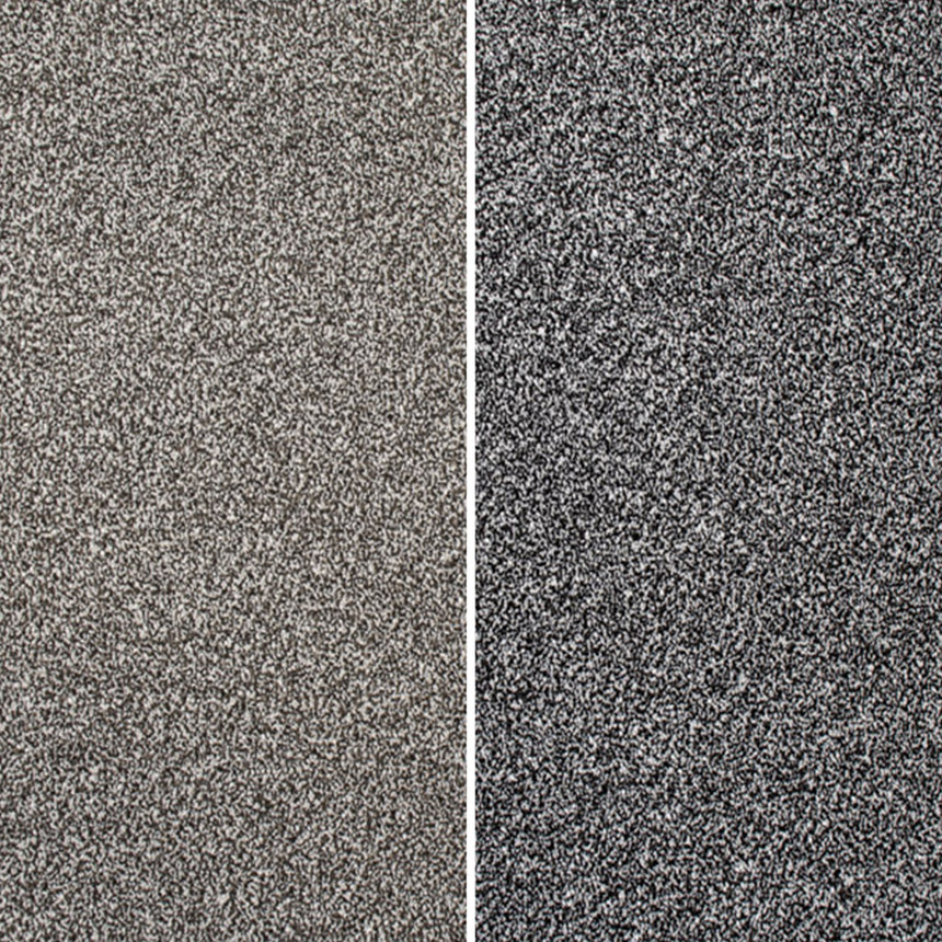 Coast Twist Carpet Clearance