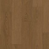 Cocoa Oak AVSPU40279
