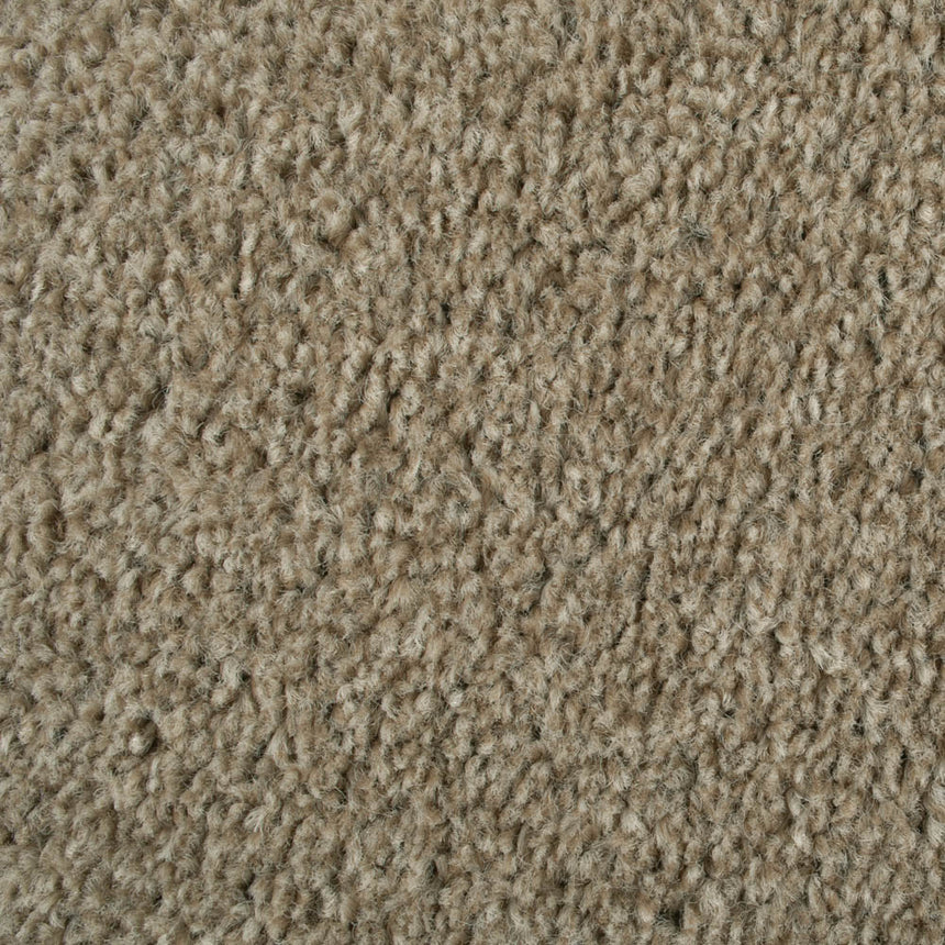 Coconut 995 Dublin Heather Twist Actionback Carpet Clearance