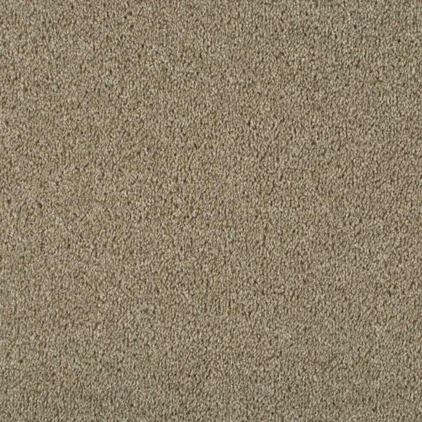 Dublin Heather Twist Actionback Carpet Clearance