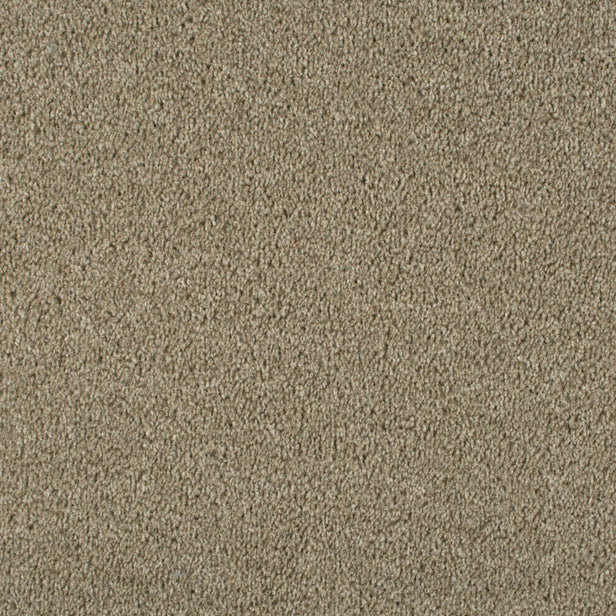 Coconut 995 Dublin Heather Twist Actionback Carpet Clearance