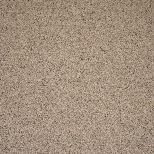 Coconut Natural Berber Twist Deluxe 55oz Carpet by Cormar