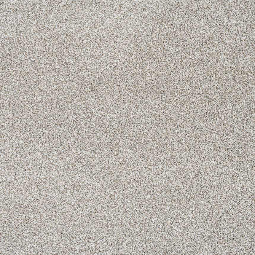 StainGuard Harvest Heathers Supreme Carpet