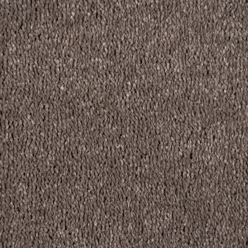 Coffee Brown Hartwell Saxony Carpet