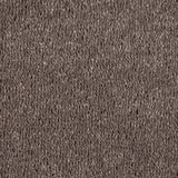 Coffee Brown Hartwell Saxony Carpet