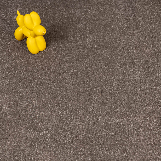 Coffee Brown Hartwell Saxony Carpet