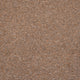 Cognac Utah Loop Feltback Carpet
