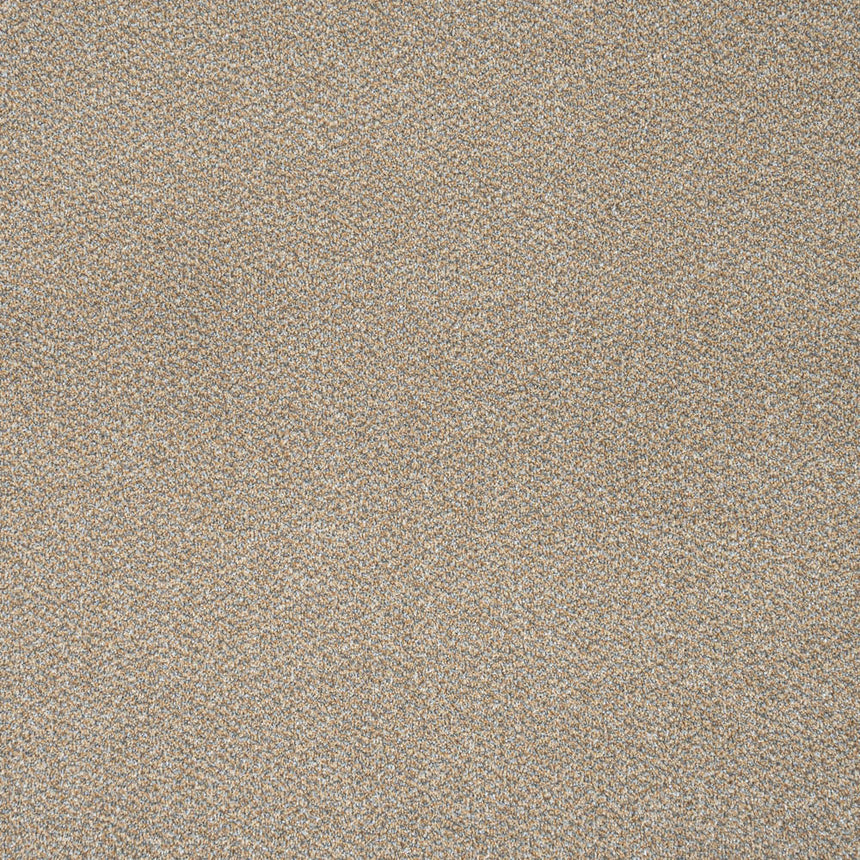 Cool Beige 12 Stainfree Tweed Carpet by Abingdon