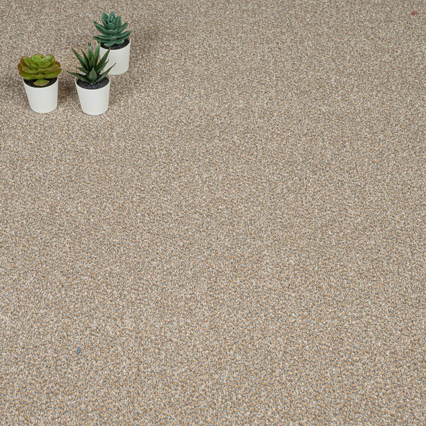 Cool Beige 12 Stainfree Tweed Carpet by Abingdon