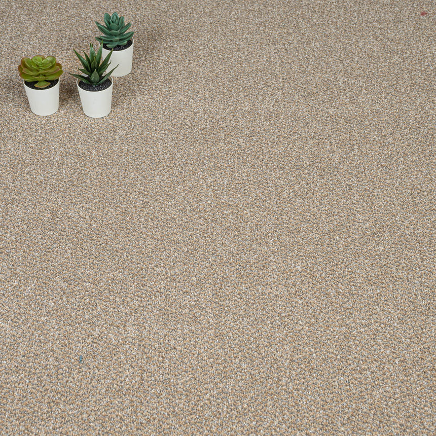 Cool Beige 12 Stainfree Tweed Carpet by Abingdon