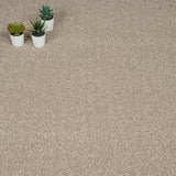 Cool Beige 12 Stainfree Tweed Carpet by Abingdon