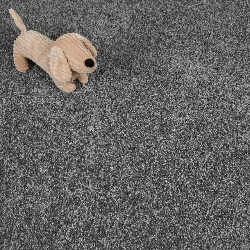 Cool Velvet 03 Lasting Romance Love Story Carpet by Abingdon